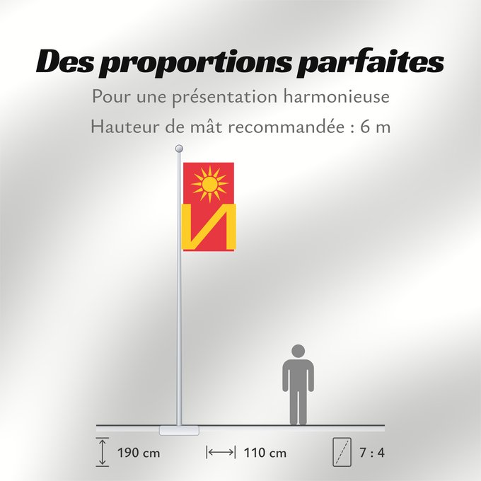 Proportions du drapeau : Ilinden Municipality	Ilinden Municipality, Macedonia	Знаме на Општина Илинден