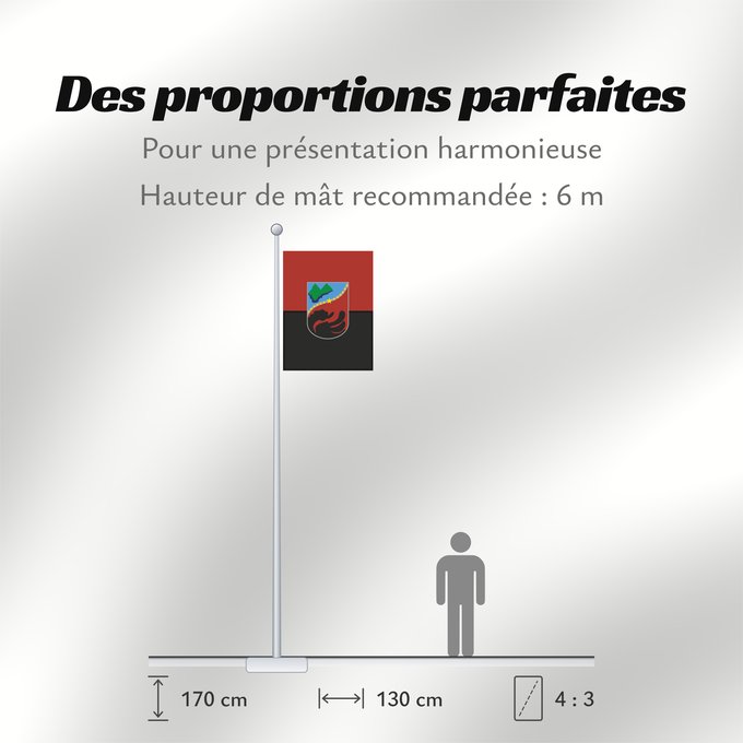 Proportions du drapeau : Zajas Municipality Zajas Municipality, Macedonia Знаме на Општина Зајас