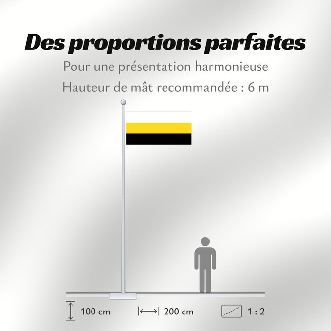 Proportions du drapeau : Perak	Malaysian state of Perak