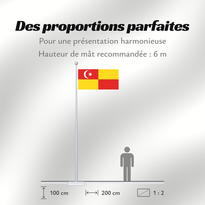 Proportions du drapeau : Selangor	Selangor 	Malaysian state Selangor