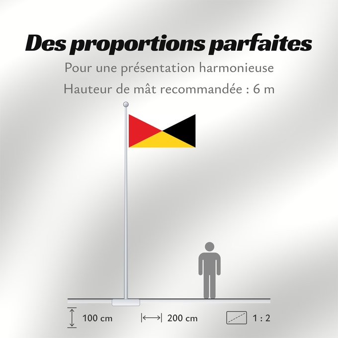 Proportions du drapeau : Naval Ensign of the Federated Malay States