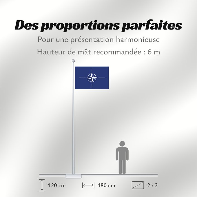 Proportions du drapeau : NATO	North Atlantic Treaty Organization  NATO	L Organisation du traité de l Atlantique nord  OTAN	Organización del Tratado del Atlántico Norte  OTAN	Organizazione/ North Atlantic Starts Treaty	Dell Organizzazione del Trattato dell Atlantico del Nord  NATO