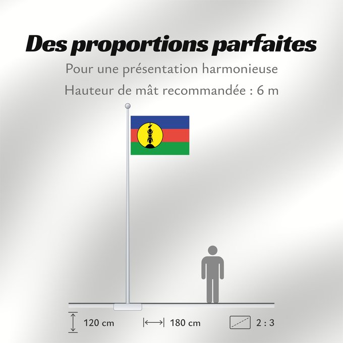 Proportions du drapeau : FLNKS Kanak and Socialist National Liberation Front political party Front de libération nationale kanak et socialiste Colores Pantone http //www Neukaledonien Nuova Caledonia Front d Alliberament Nacional Canac Socialista
