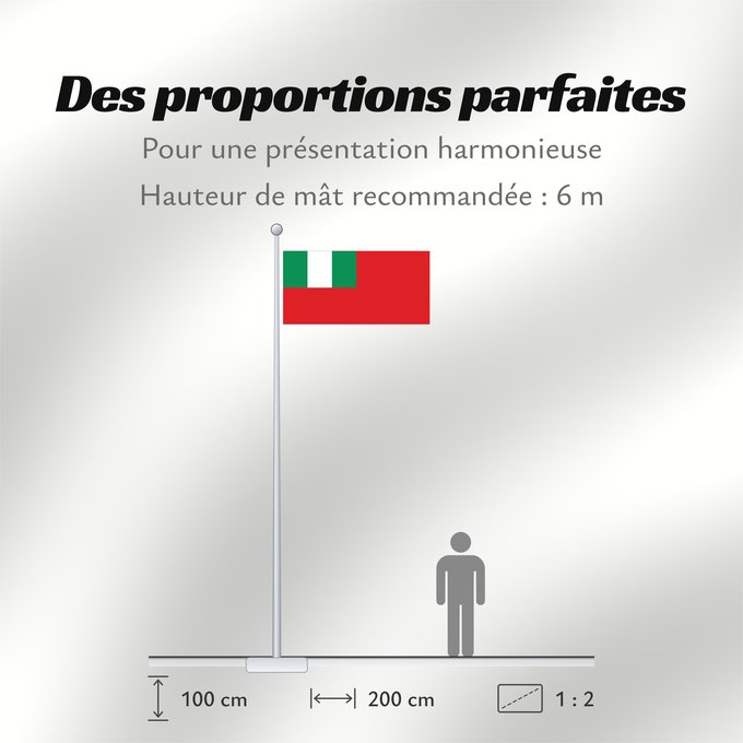 Proportions du drapeau : Civil Ensign of Nigeria Nigeria - Civil Ensign Nigeria - Pavillon Civil Nigeria - Bandera de Marina Civil Nigeria - Zivilschiffsflagge Nigeria - Insegna Civile Civil ensign of Nigeria