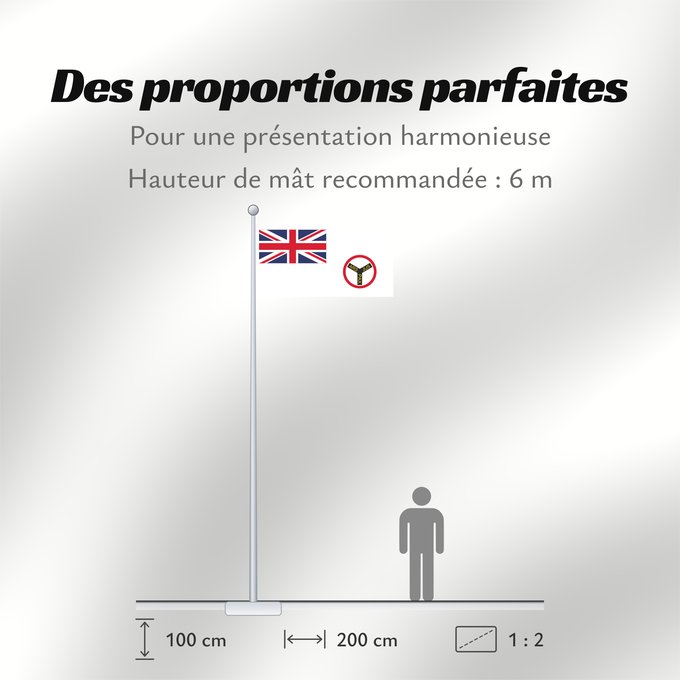 Proportions du drapeau : Royal Niger Company