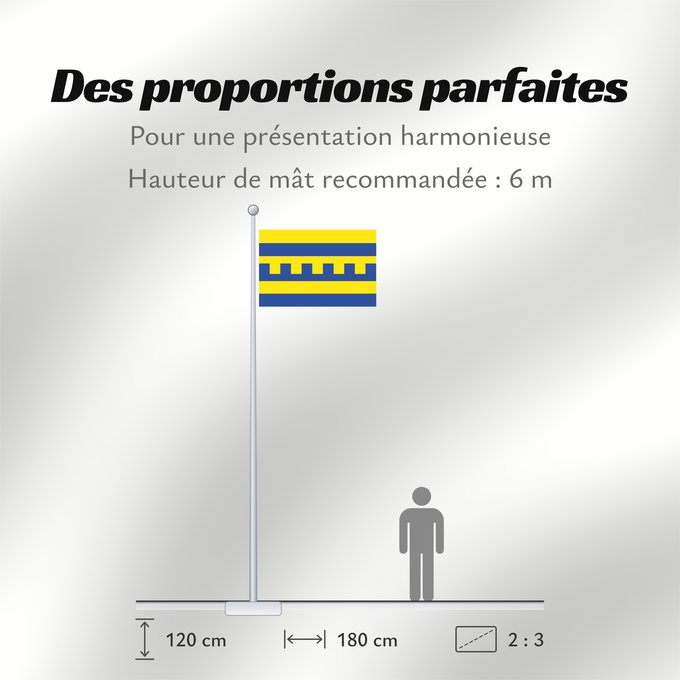 Proportions du drapeau : Harderwijk	Dutch municipality of Harderwijk