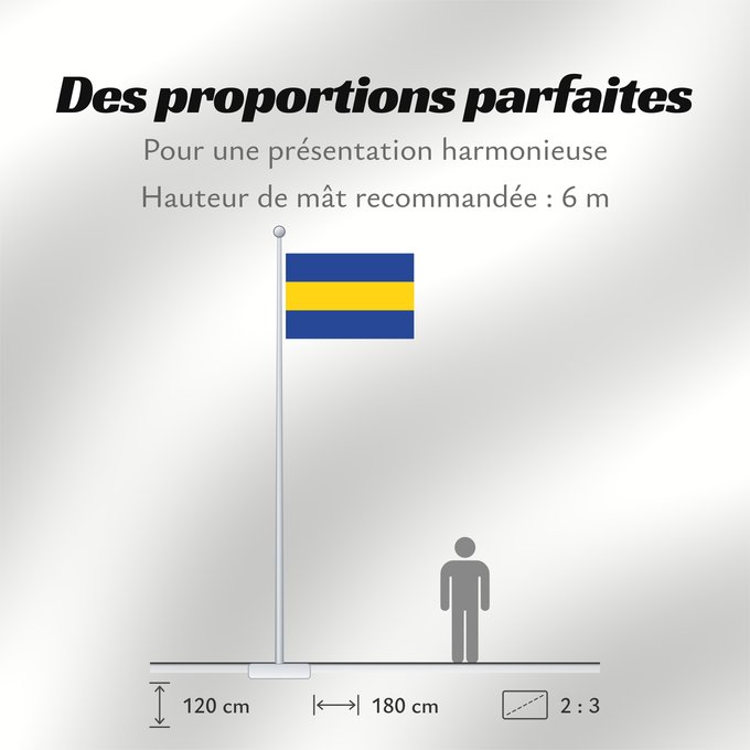 Proportions du drapeau : Papendrecht	Dutch municipalities of Papendrecht