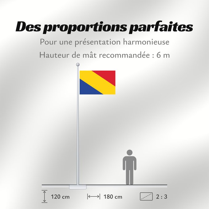 Proportions du drapeau : Rheden	Dutch municipality of Rheden