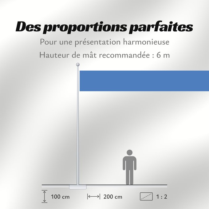 Proportions du drapeau : Chatham Islands	Îles Chatham	Islas Chatham	Isole Chatham	チャタム諸島の旗