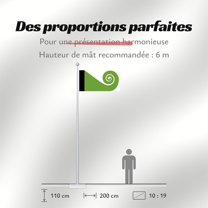 Proportions du drapeau : Koru	This image shows the popular Koru Flag