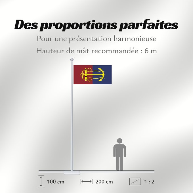 Proportions du drapeau : New Zealand Navy Board	Conseil de la marine néo-zélandaise	Junta de la Marina de Nueva Zelanda	Marinevorstand Neuseeland	Consiglio della Marina della Nuova Zelanda