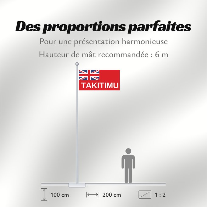 Proportions du drapeau : NZ-Takitimu	Design data from FOTW