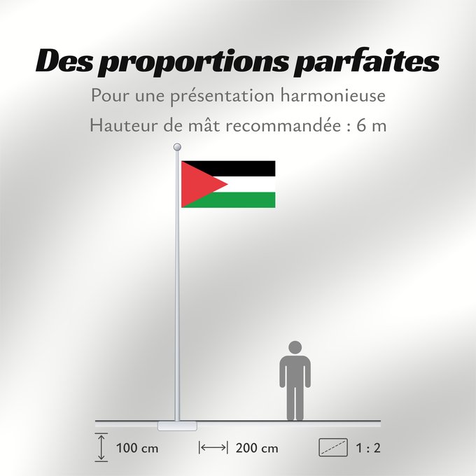 Proportions du drapeau : Palestine - long triangle	A variant of the flag of Palestine used in some period of its history	Palestine (variante triangle long)	Palestina (variante triángulo largo)	Palästina (langes Dreiecksvariante)	Palestina (variante triangolo lungo)