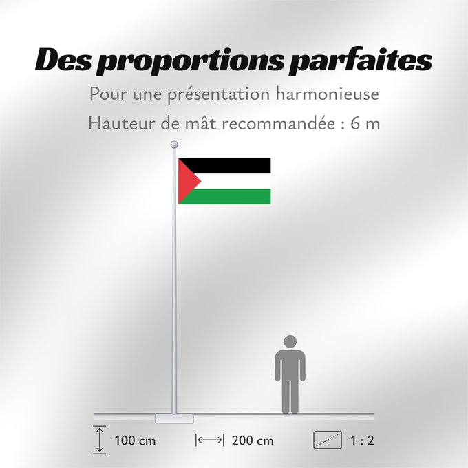 Proportions du drapeau : Palestine - short triangle	A variant of the flag of Palestine used in different periods of its history	Palestine (variante triangle court)	Palestina (variante triángulo corto)	Palästina (kurze Dreiecksvariante)	Palestina (variante triangolo corto)