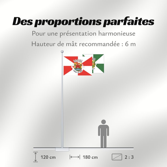 Proportions du drapeau : Leiria