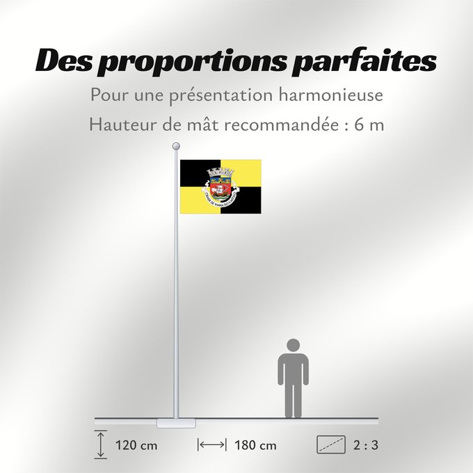Proportions du drapeau : Viana do Castelo