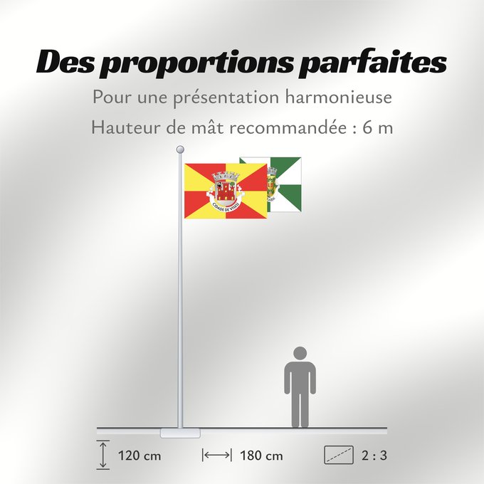 Proportions du drapeau : Viseu