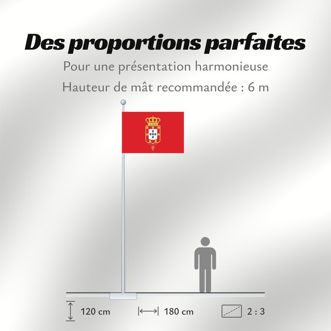 Proportions du drapeau : Peter V of Portugal	Peter V of Portugal (1853-1861)	Pierre V du Portugal (1853-1861)	Pedro V de Portugal (1853-1861)	Peter V von Portugal (1853-1861)	Pietro V del Portogallo (1853-1861)	Personal flag of King Peter V of Portugal  1853-1861