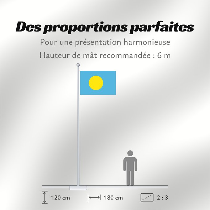 Proportions du drapeau : Palau	Palau, made by User Gabbe	 Palaos	Palaos	パラオの国旗	Palaua	​帕勞國旗