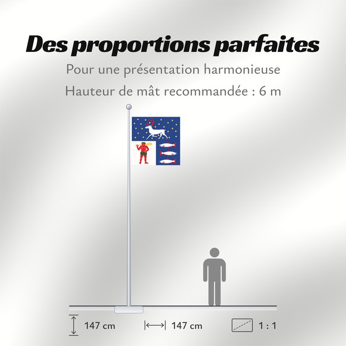 Proportions du drapeau : Västerbottens län vapenflagga	Västerbotten County in Sweden	Västerbotten	Västerbottens läns vapenflagga