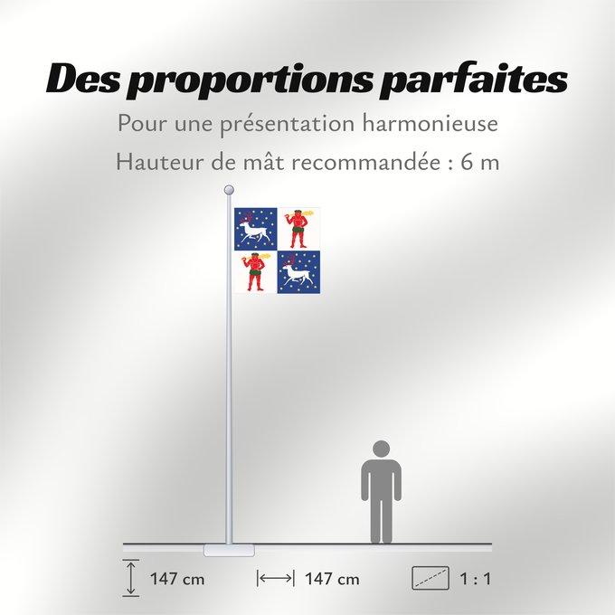 Proportions du drapeau : Norrbottens län vapenflagga	Norrbotten County in Sweden	Norrbotten	Norrbottens läns vapenflagga