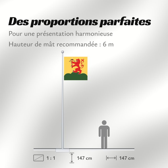 Proportions du drapeau : Kronobergs län vapenflagga Kronoberg County in Sweden Kronoberg Provincia de Kronoberg Kronobergs läns vapenflagga