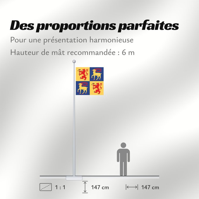 Proportions du drapeau : Kalmar län