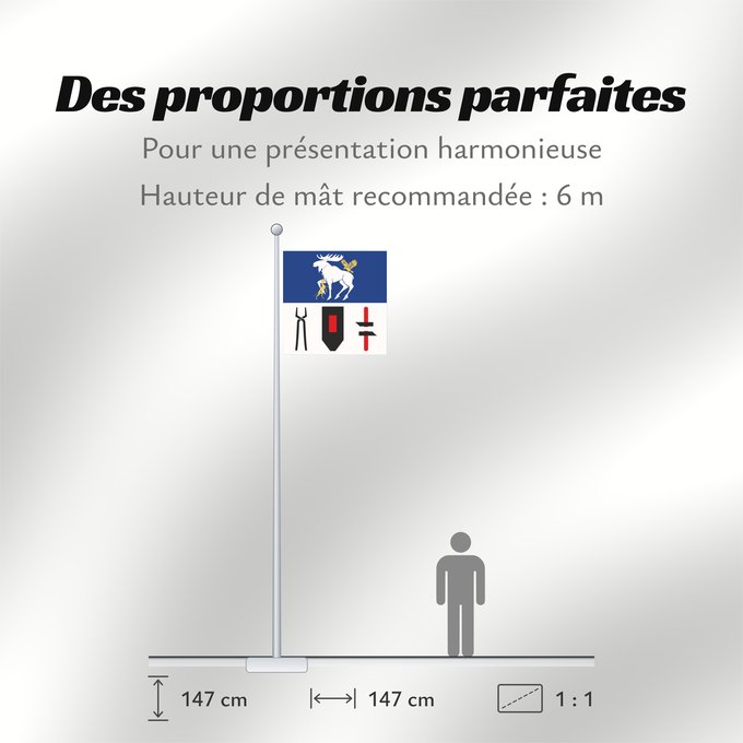 Proportions du drapeau : Jämtlands län