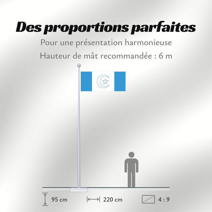 Proportions du drapeau : Awdalland	علم أرض أودال‎‎