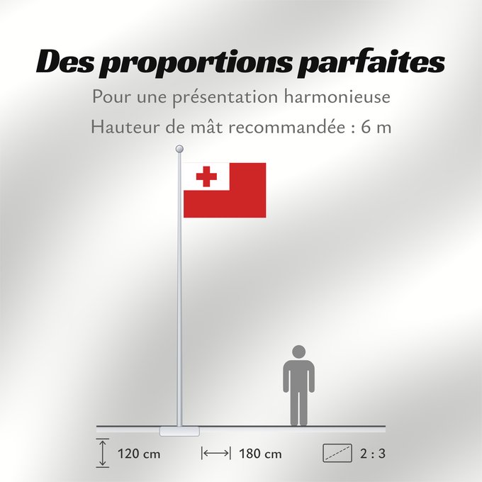 Proportions du drapeau : Tonga Thonga Brattagh ny Tongey Tonge Fuka ʻo Tonga