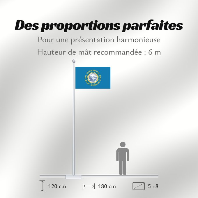 Proportions du drapeau : South Dakota Dakota du Sud Dakota del Sur Dakota del Sud ᏧᎦᎾᏮ ᏓᎧᏓ ᎦᏓᏘ Ka hae Kakoka Hema Dacota Meridionalis Shádiʼááhjí Dikóodah Hahoodzo bidah naatʼaʼí Флаг Южной Дакоты Američke savezne države Južne Dakote Прапор Південної Дакоти