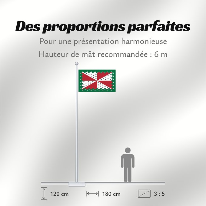Proportions du drapeau : Loudoun County, Virginia	Comté de Loudoun, Virginie	Condado de Loudoun, Virginia	Contea di Loudoun, Virginia