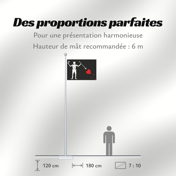 Proportions du drapeau : Pirate Flag of Blackbeard Edward Teach Illustration of Blackbeard s Jolly Roger flag