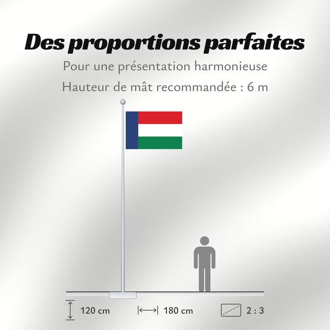 Proportions du drapeau : Nieuwe Republiek	Die Nieuwe Vryheid Republiek