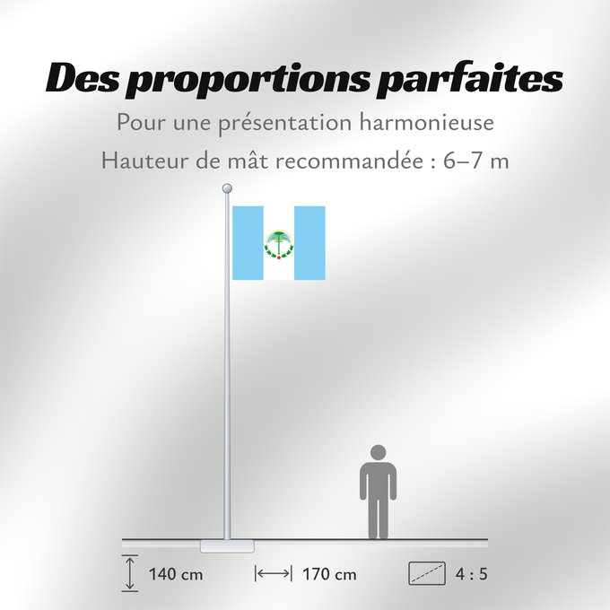 Proportions du drapeau : Neuquén
