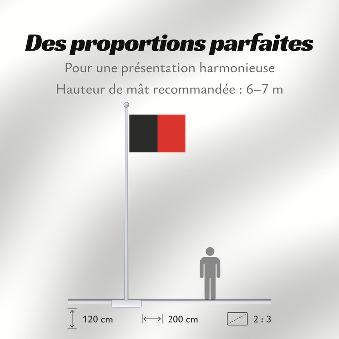 Proportions du drapeau : Namur Province Namur Shows the flag of the province of Namur in Belgium