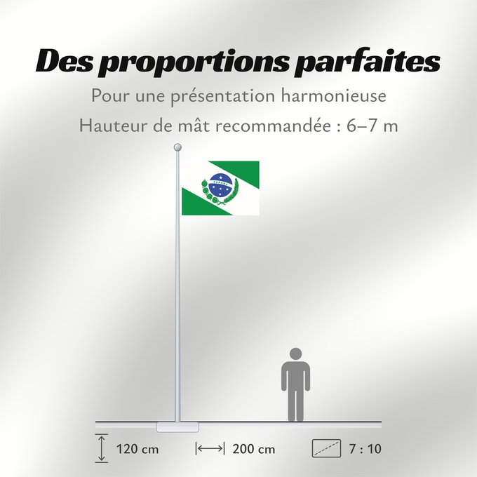 Proportions du drapeau : Paraná