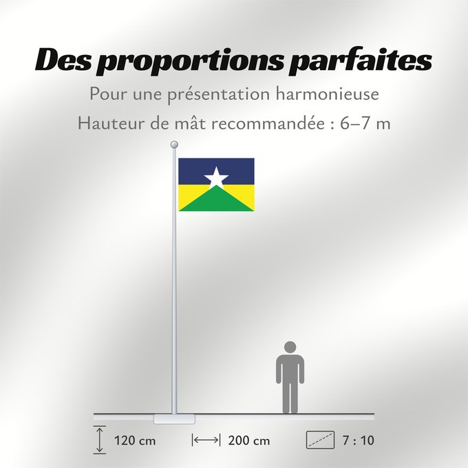 Proportions du drapeau : Rondônia