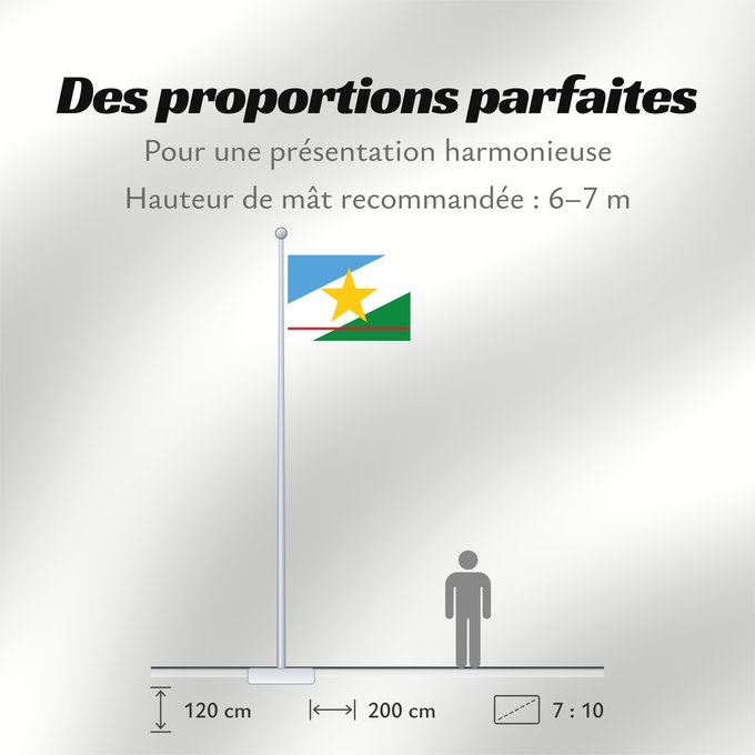 Proportions du drapeau : Roraima
