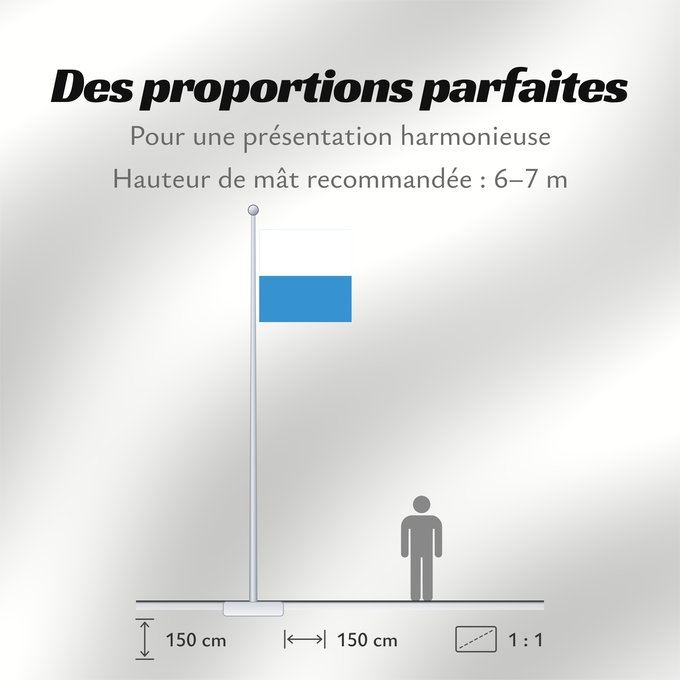Proportions du drapeau : Canton of Lucerne Lucerne Luzern Erba medica
