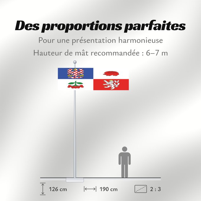 Proportions du drapeau : Vysocina Region	Vysočina Region	Région de Vysočina	Región de Vysočina	Region Vysočina