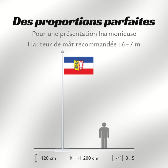 Proportions du drapeau : Schleswig-Holstein