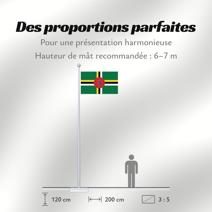 Proportions du drapeau : Dominica	 Dominique	Dominica lipp	Dominican	ドミニカ国の国旗	Флаг Доминики	Dominike	Dominicas