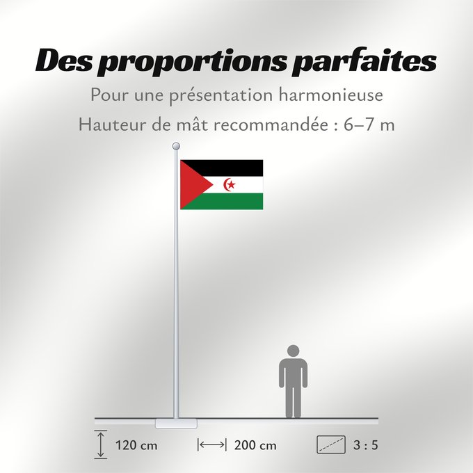 Proportions du drapeau : Sahrawi Arab Democratic Republic	Western Sahara	République arabe sahraouie démocratique	República Árabe Saharaui Democrática	Demokratischen Arabischen Republik Sahara	Repubblica Democratica Araba Sahrawi	Arabische Democratische Republiek Sahara	República 