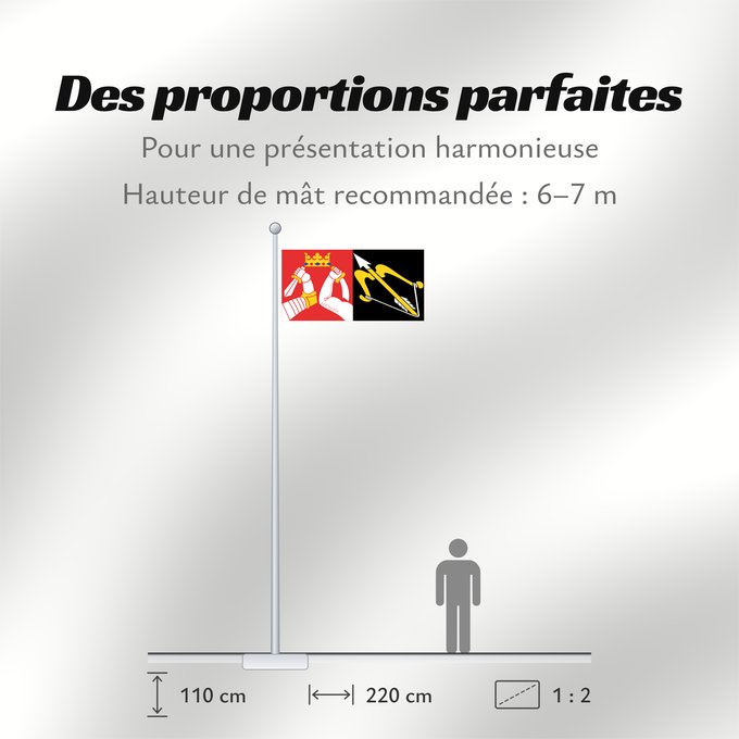 Proportions du drapeau : Itä-Suomen lääni