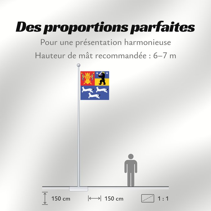 Proportions du drapeau : Länsi-Suomen lääni