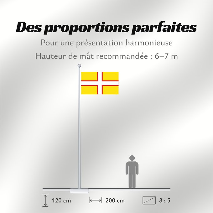 Proportions du drapeau : Dorset	Dorset, England