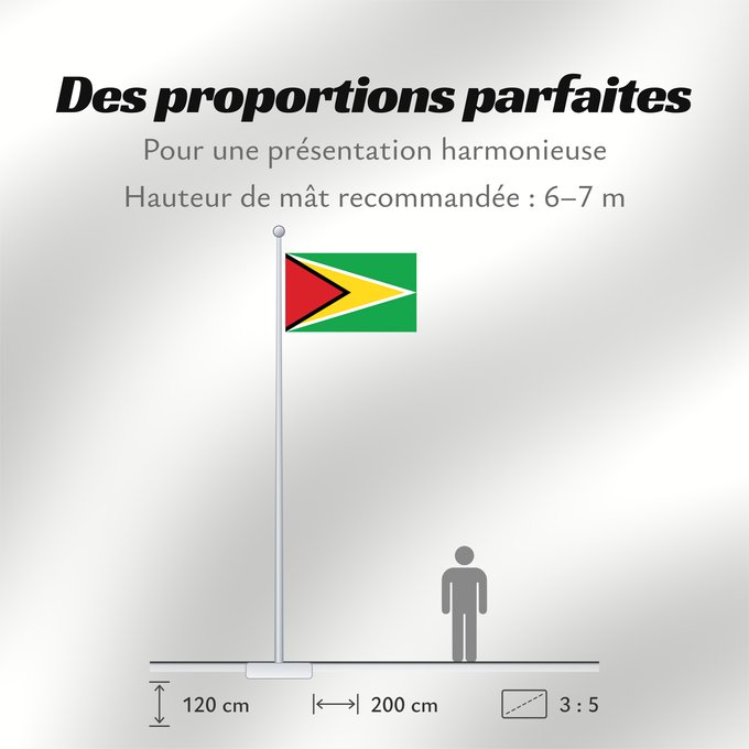 Proportions du drapeau : Guyana	Guiana	Wayana wiphala	Gujano	Gwayana	Wayana unancha	Флаг Гайаны	Guyanas	Quốc kỳ Guyana