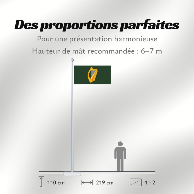 Proportions du drapeau : Leinster	W Leinster