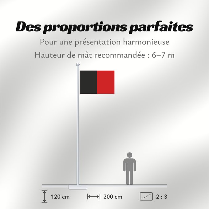 Proportions du drapeau : Valle d'Aosta, Vallée d'Aoste (fr)